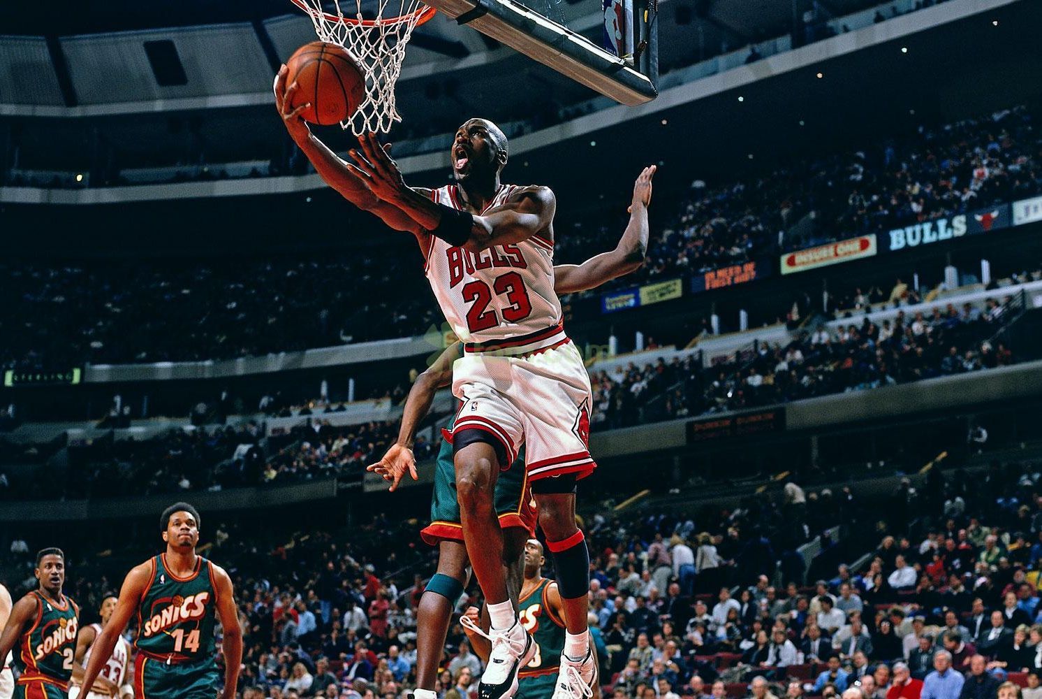 球迷和他自 球迷和他自