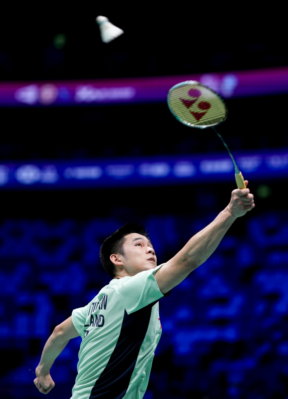 运动赢得了 运动赢得了